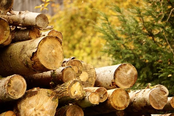 Wood Pile Removal in Odessa