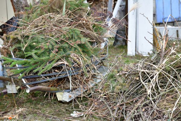 Yard Waste Removal Service in Odessa