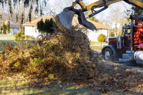 Storm Debris Removal in Odessa