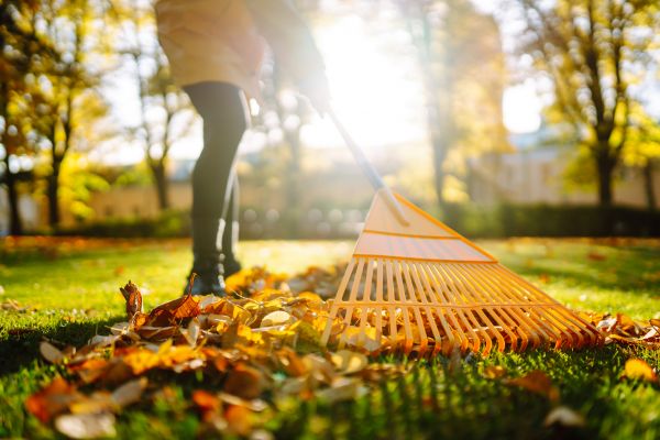 Leaves Raking in Odessa