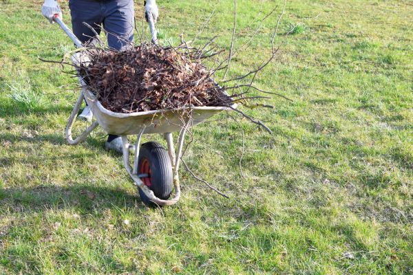 Yard Brush Removal in Odessa