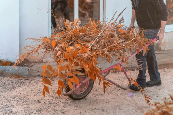 Cost of Lawn Debris Cleanup in Odessa