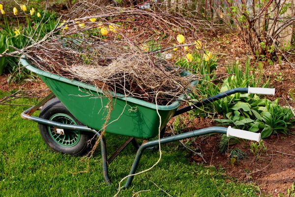 Lawn Waste Removal in Odessa