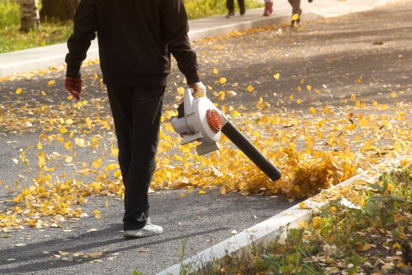 Commercial Leaf Removal in Odessa