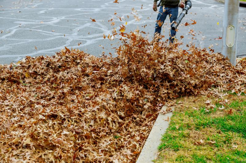 Professional Leaf Removal Equipment