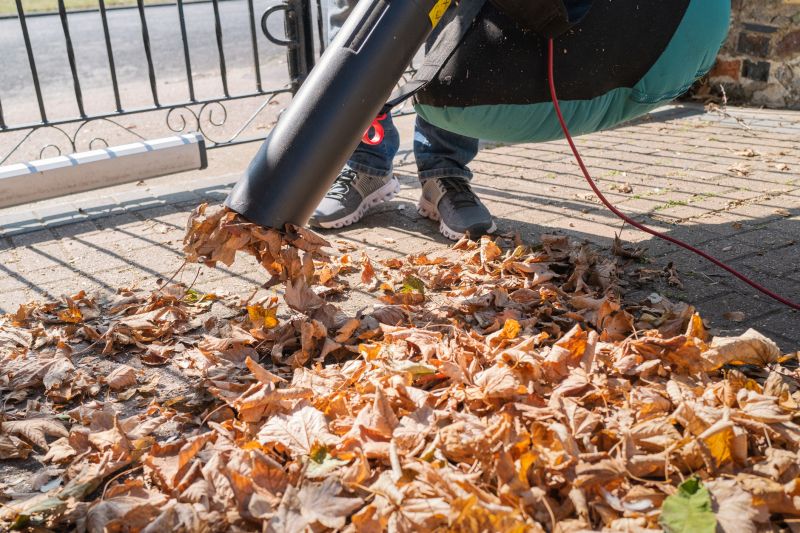 Leaf Blowing Methods