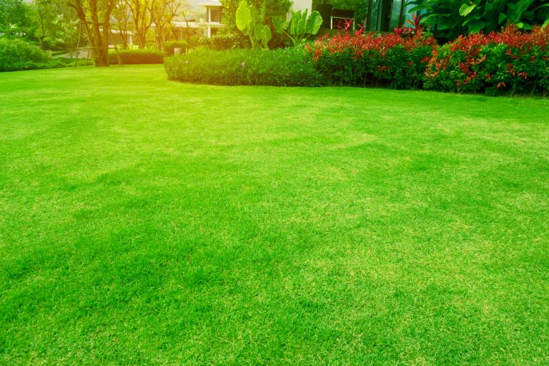 Maintaining Your Yard Post-Cleanup
